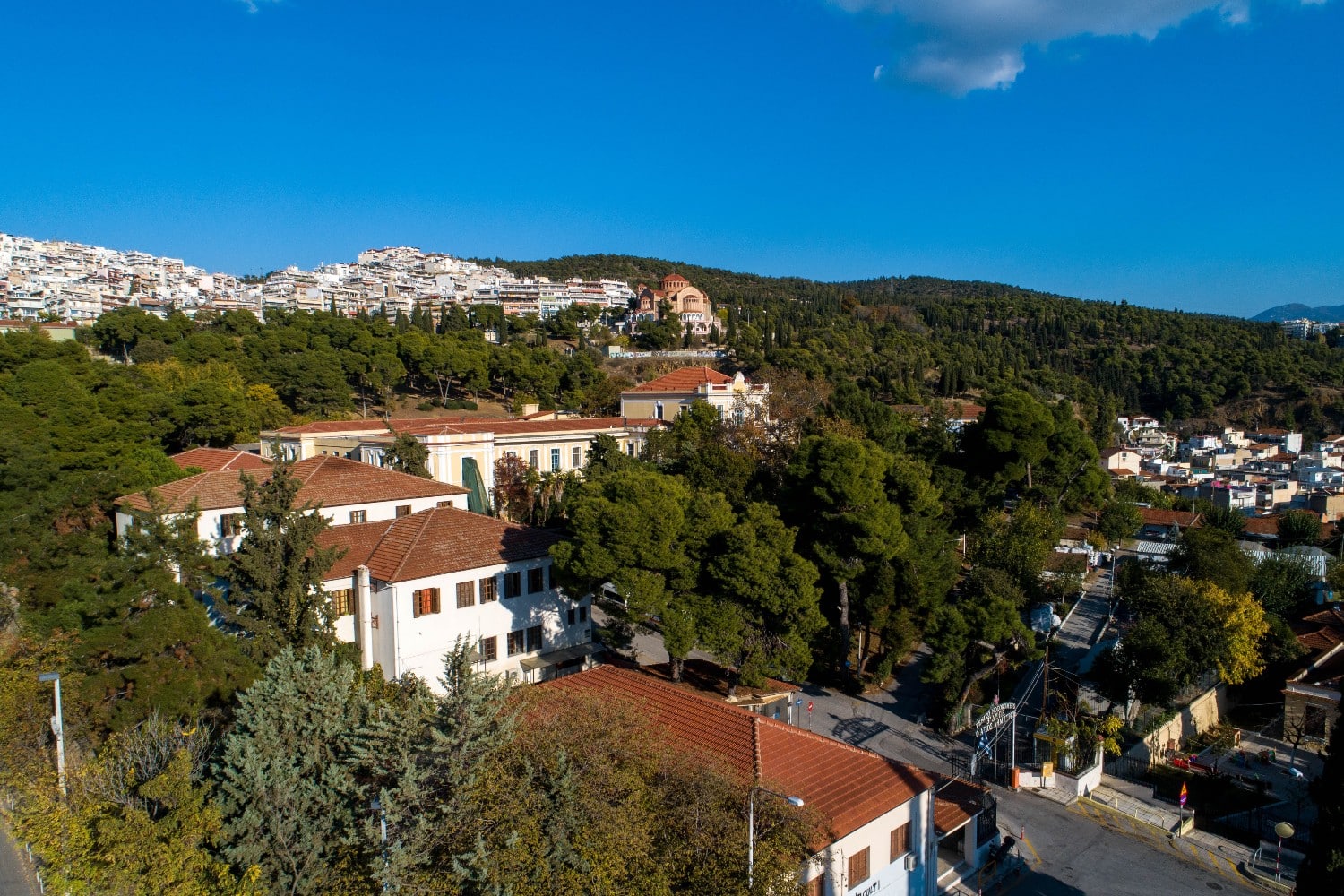 nosokomeio agios dimitrios 20 5 26