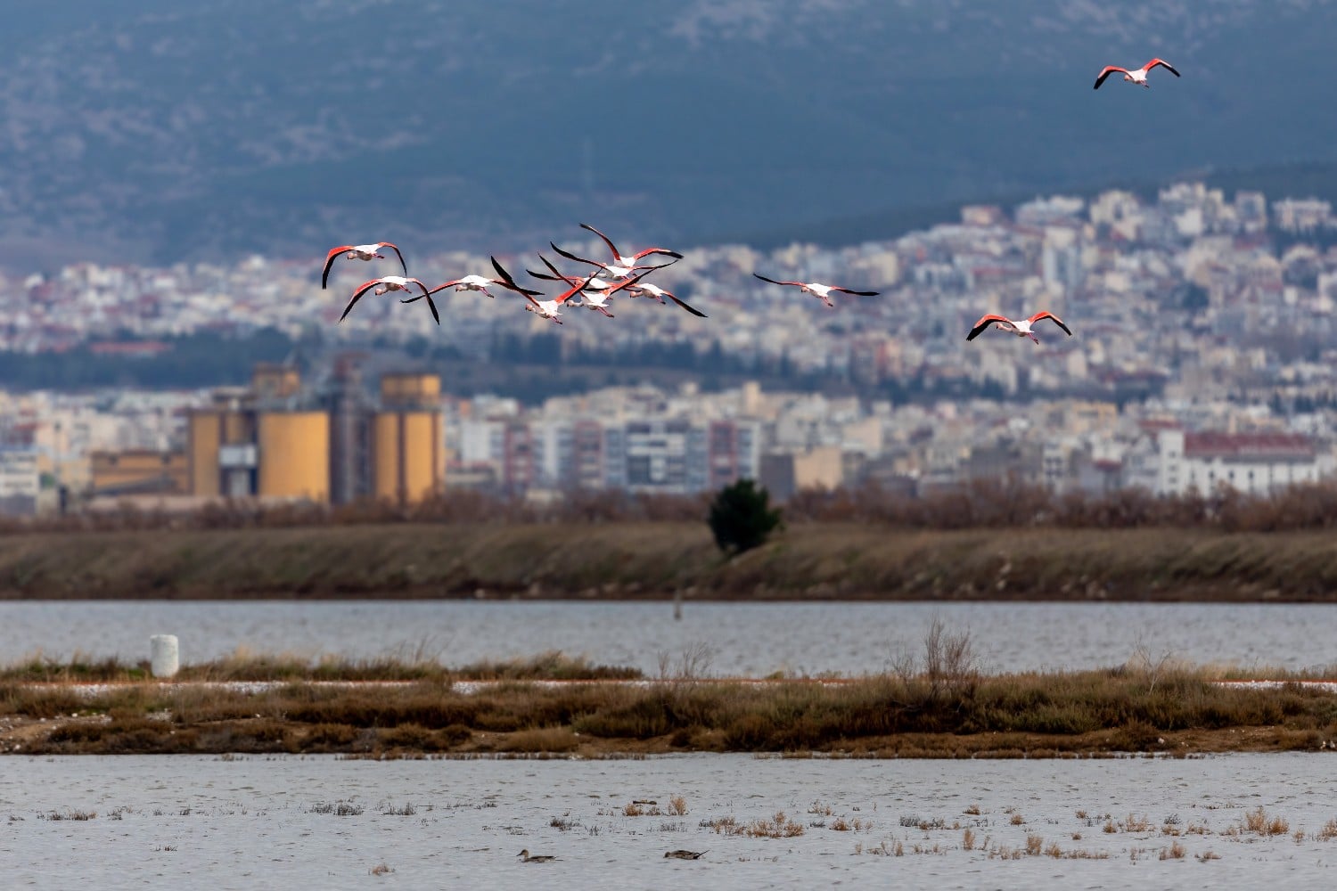 thessaloniki kaloxwri 29 5 26