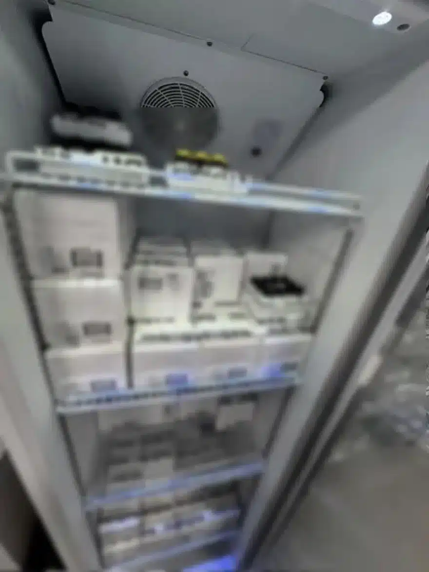 astynomiko 21