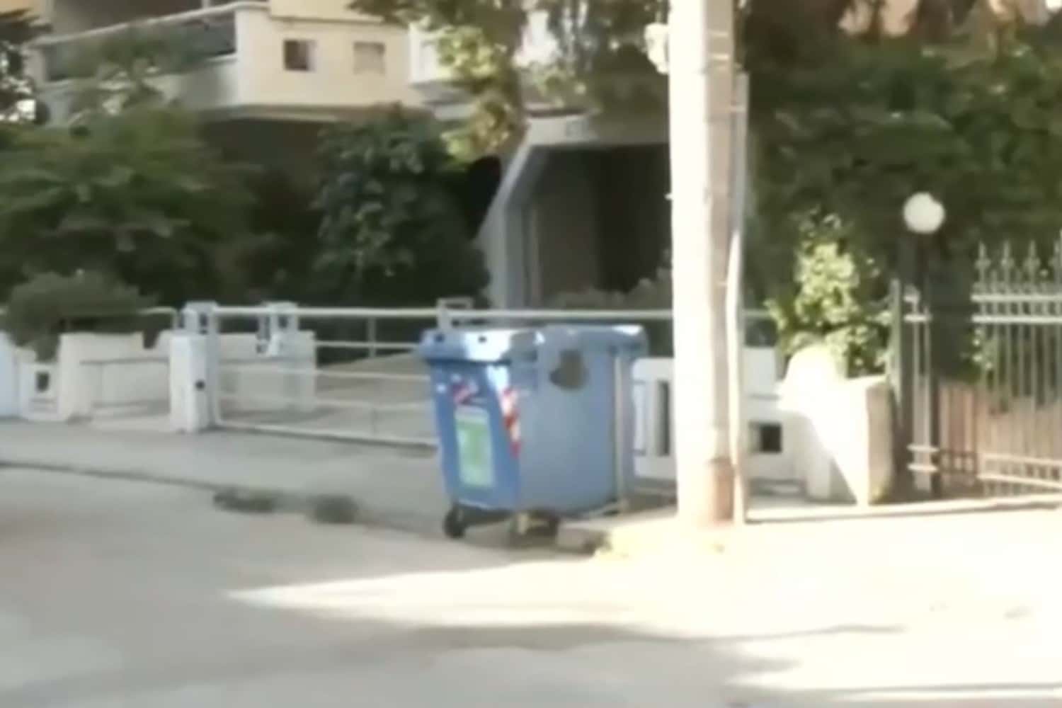 kallithea 25 6 26