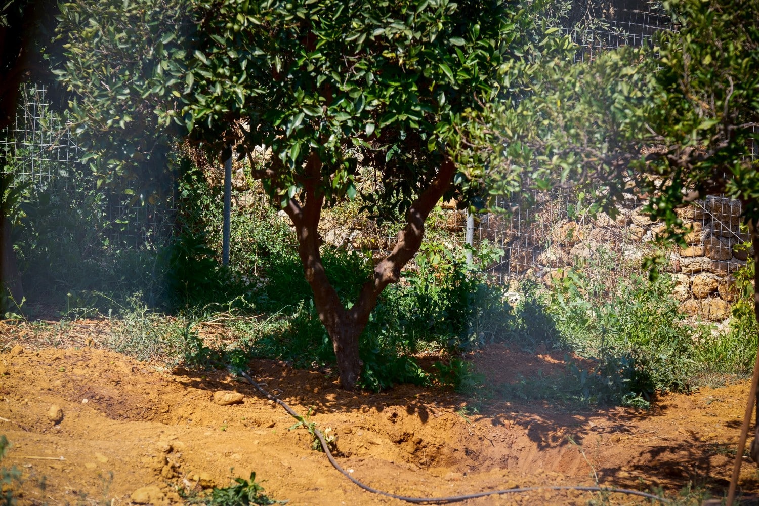 stauroula kriti 21 6 2026 3