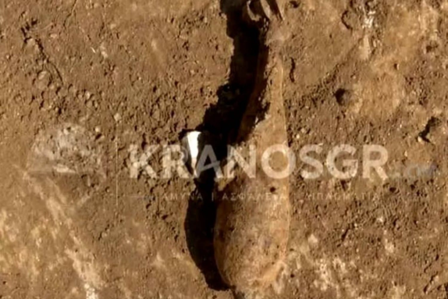 vlima olmou 14 6 26