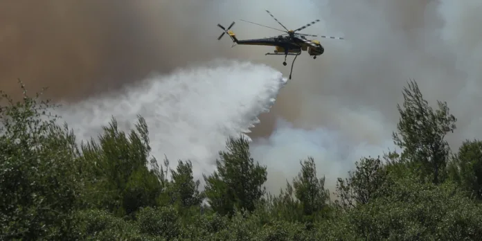 Συναγερμός στην Ηλεία από φωτιά σε δασική έκταση στο Μουζάκι (Πύργος)