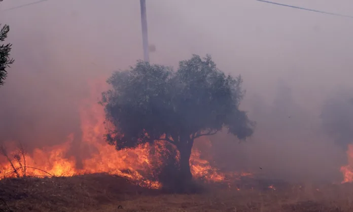 Έκλεισε η Ολυμπία Οδός προς Πύργο εξαιτίας της μεγάλης φωτιάς στην Ηλεία